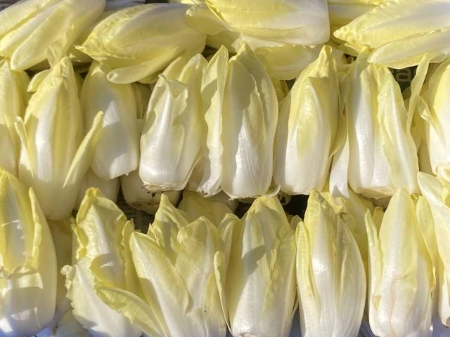  300 g d'endive