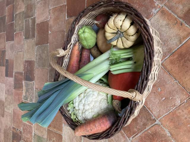 Grand panier de lgumes d'automne