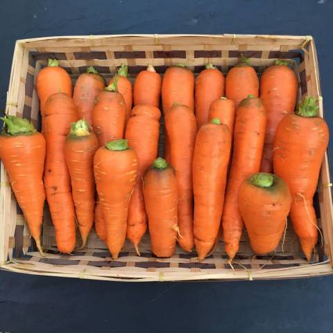  3 kg carottes 
