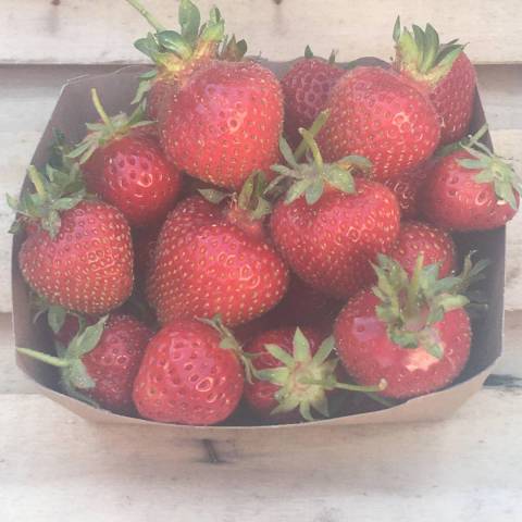 250 g de fraises de printemps