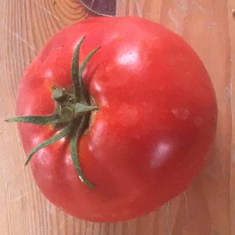1 kg de tomates Ronde des Fontenelles