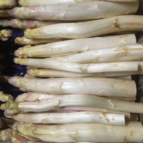 500 g d'asperges blanches